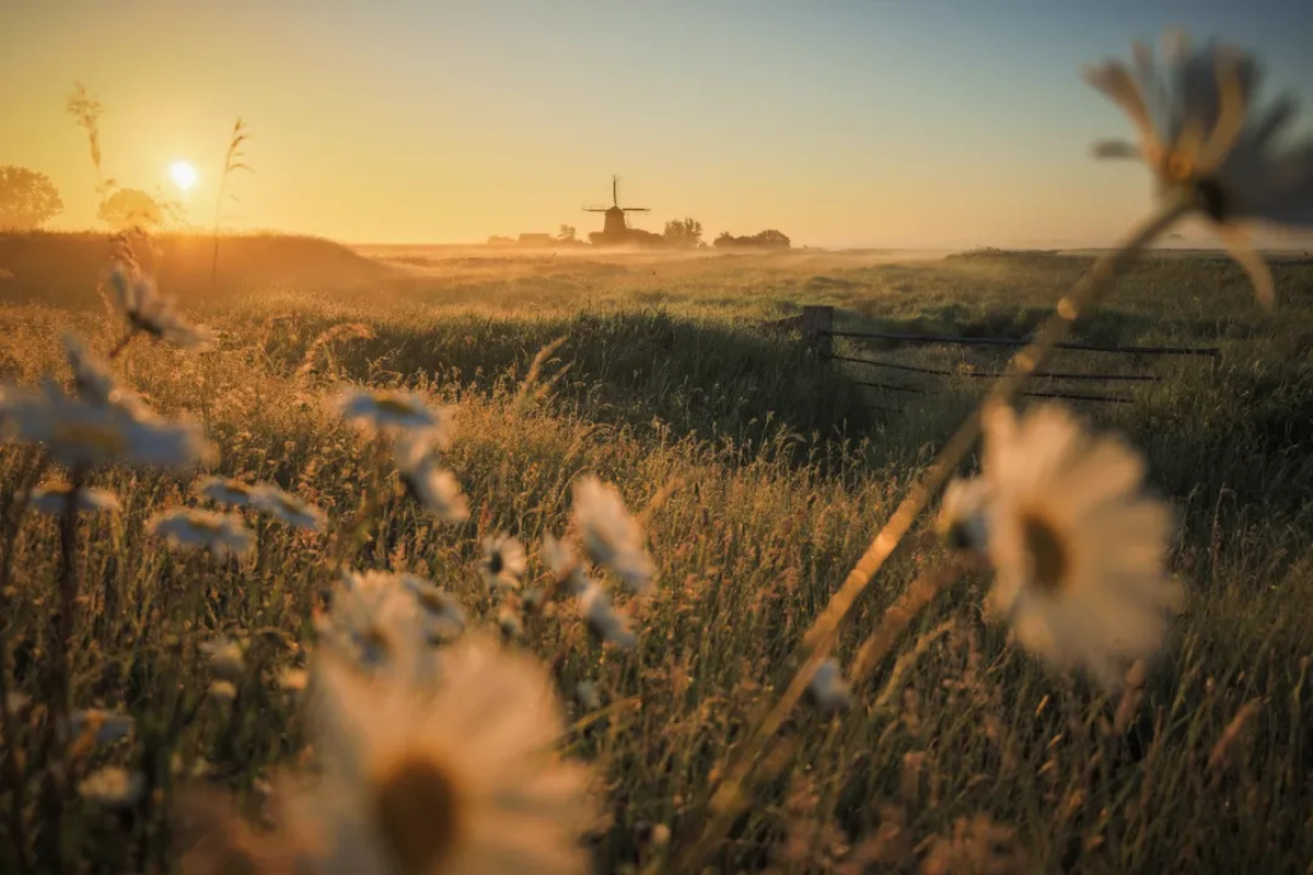 zonsopkomst met molen
